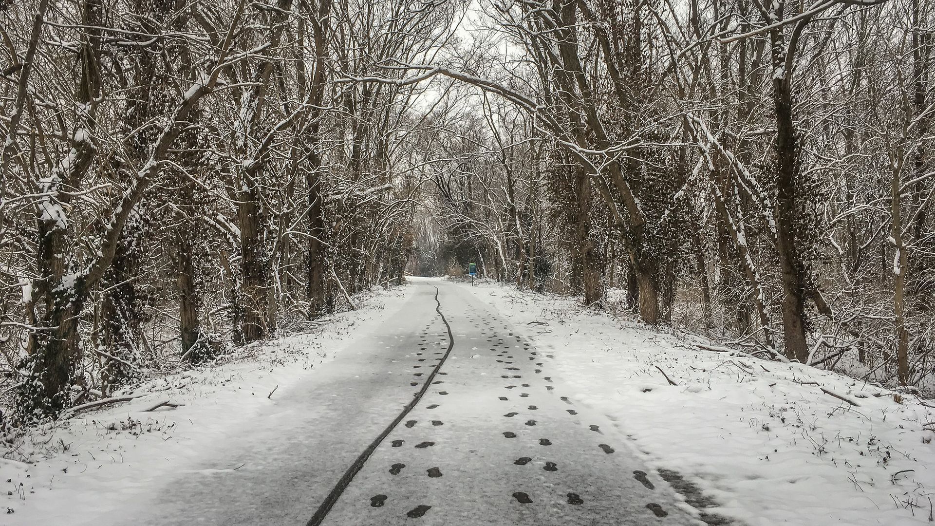 A snowy road going through  Origin Park.