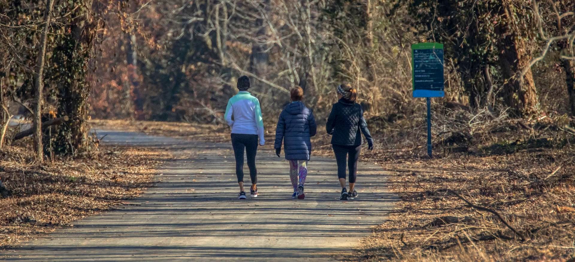 Three people walking down a path, surrounded by trees with fallen leaves.