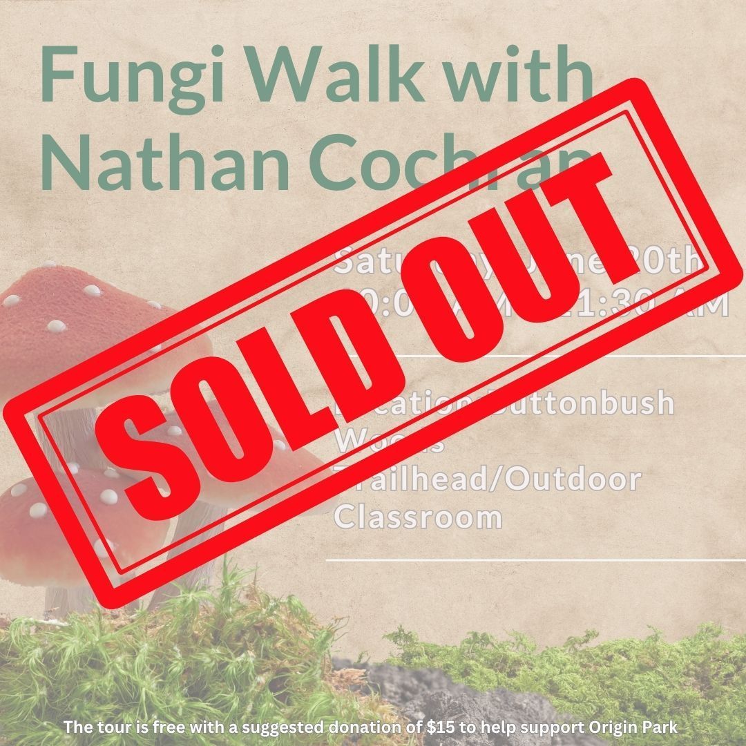 image of a fungi mushroom
