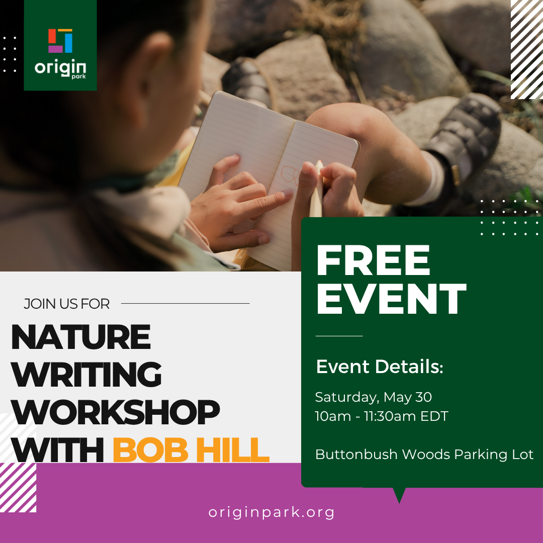 Group of people looking up at a tree in a green forest.