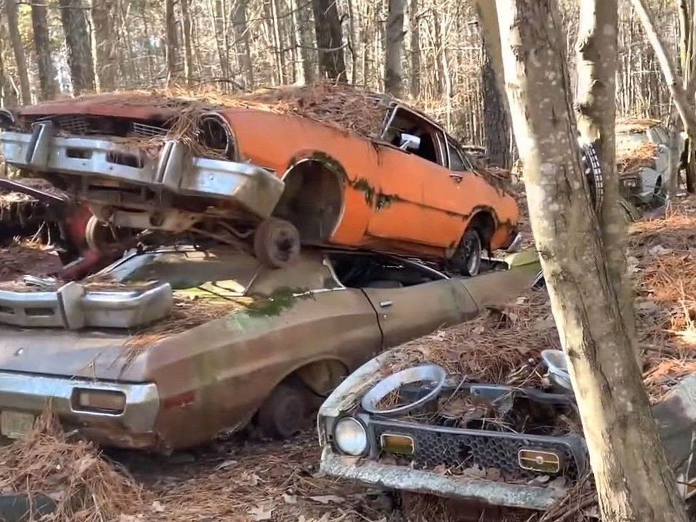 A bunch of old cars are stacked on top of each other in the woods.