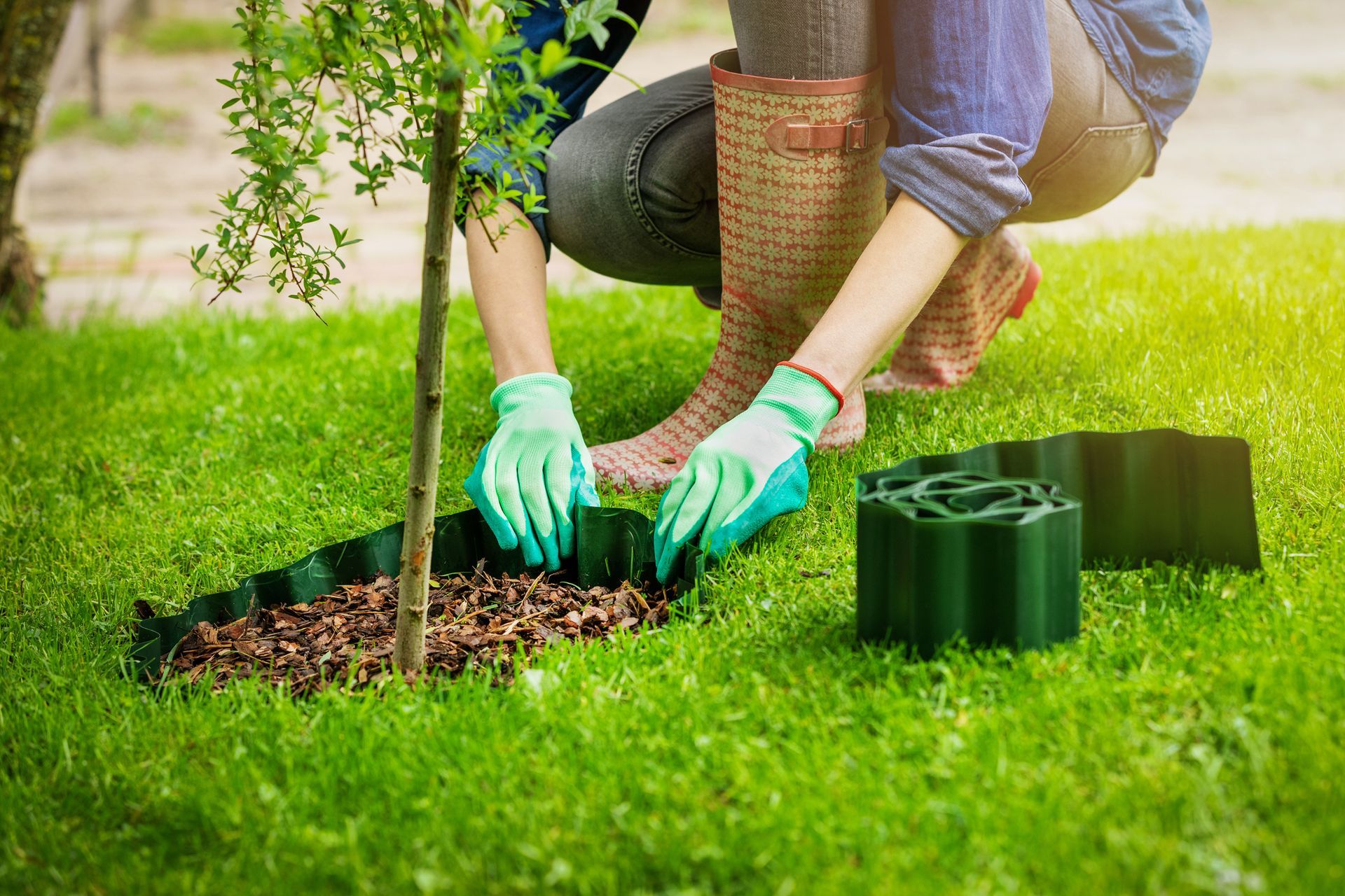 A Woman Is Kneeling Down to Plant a Tree in The Grass | Onalaska, WI | River City Irrigation