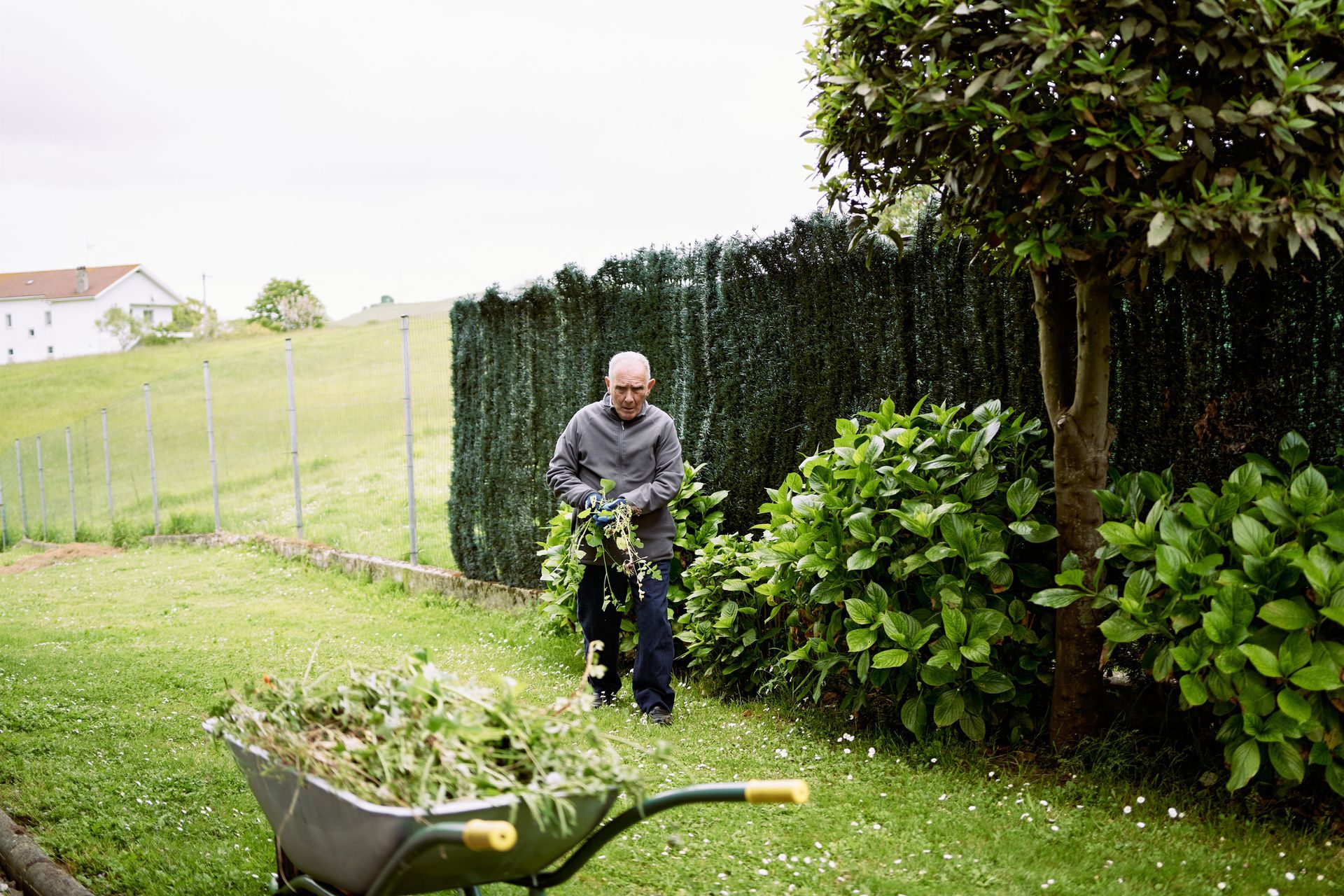 A Man Is Pushing a Wheelbarrow Full of Leaves in A Garden | Onalaska, WI | River City Irrigation
