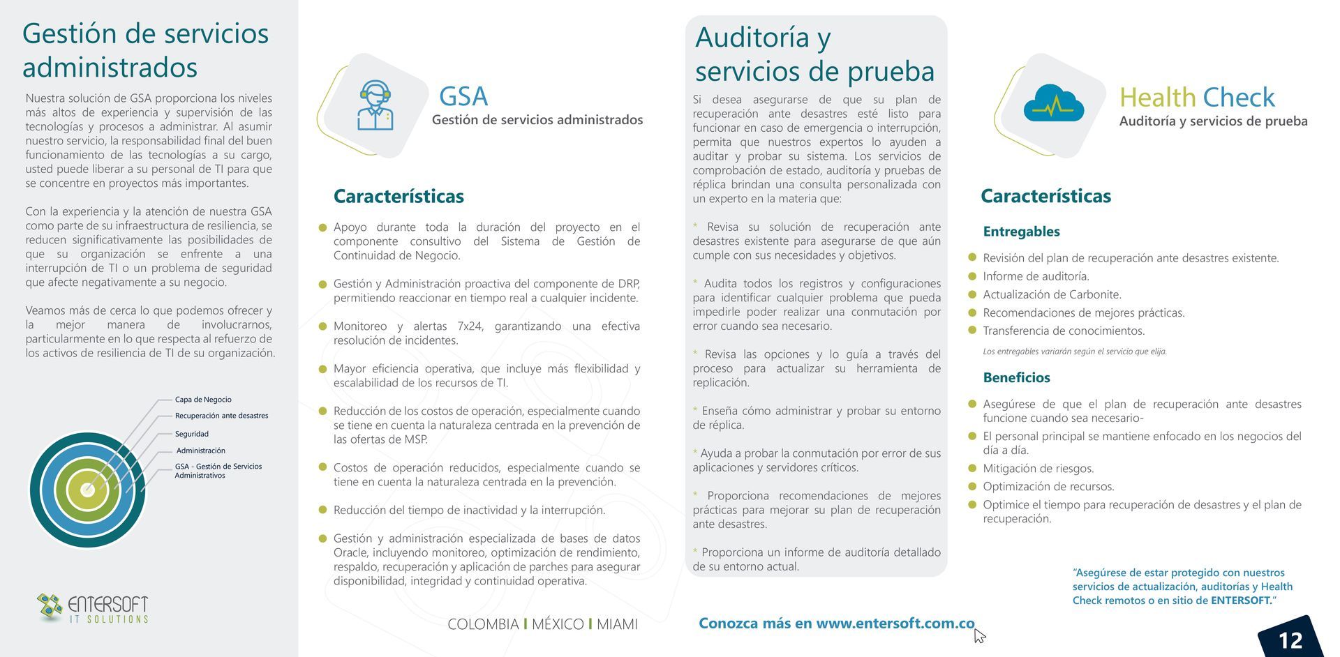 Folleto con información sobre servicios gestionados, incluyendo GSA, auditoría y revisión de salud.