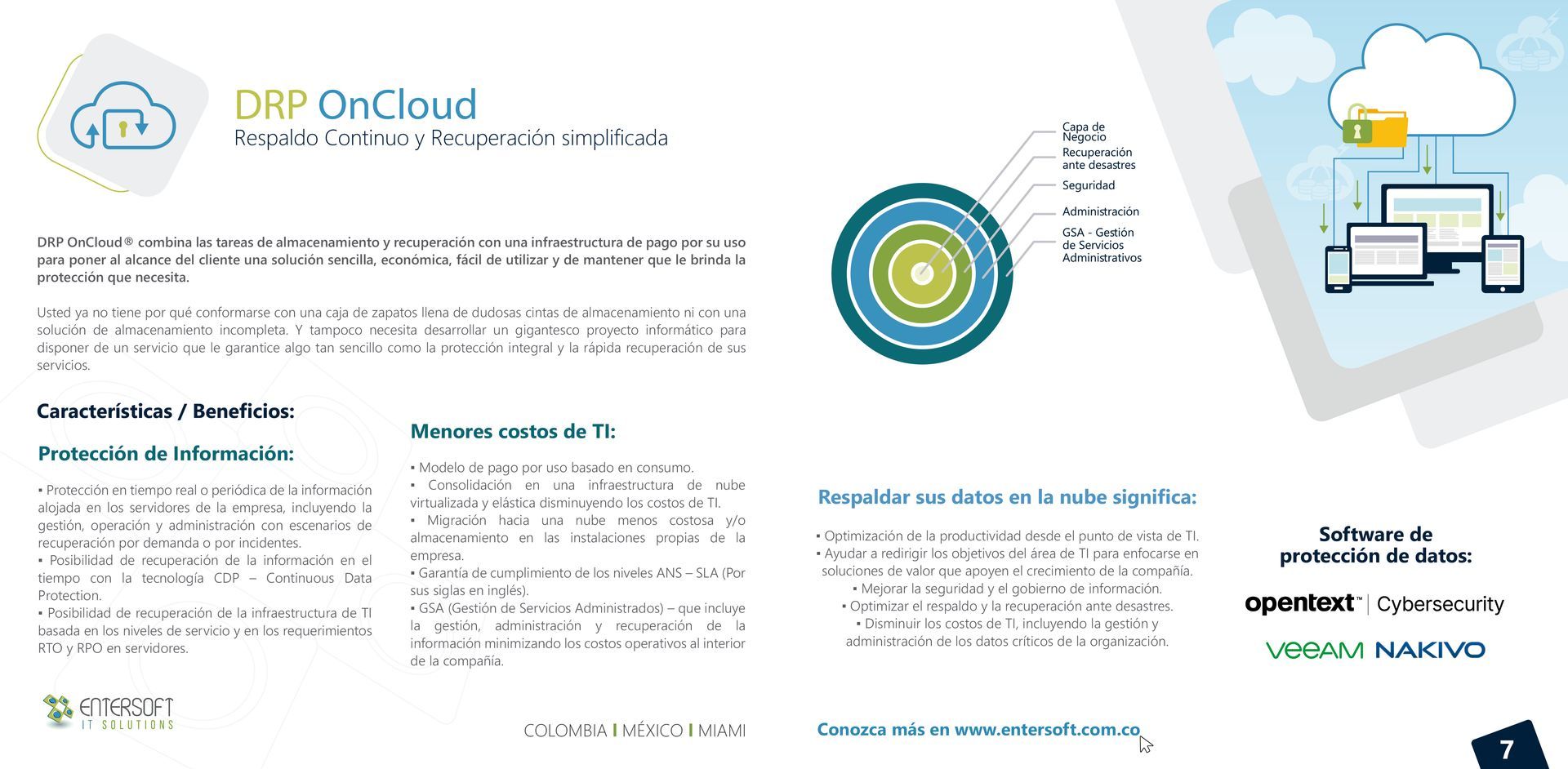 Infografía sobre computación en la nube con visualización de datos e iconos. Texto sobre datos y software.