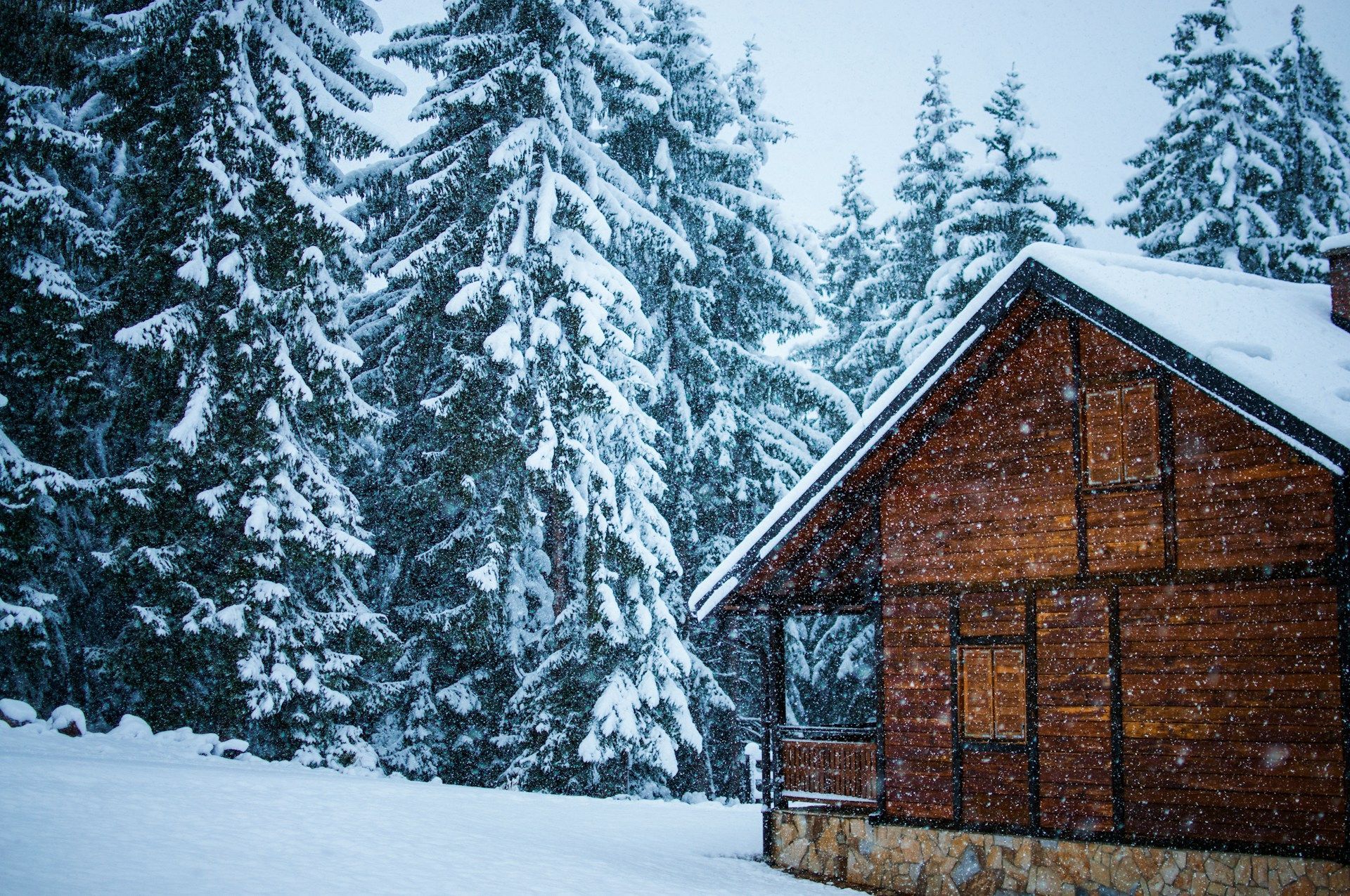 Snowy cabin in a forest of snow-covered evergreen trees in Central PA.