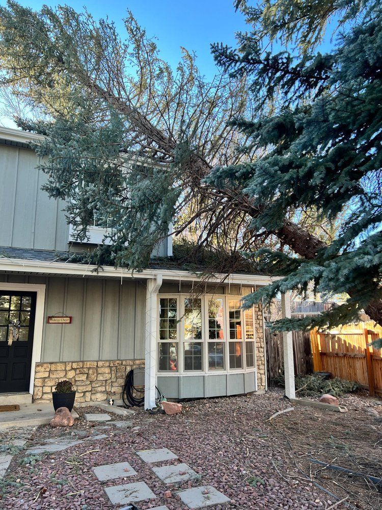 Front View Of The House — Littleton, CO — Climber’s Choice Tree Care