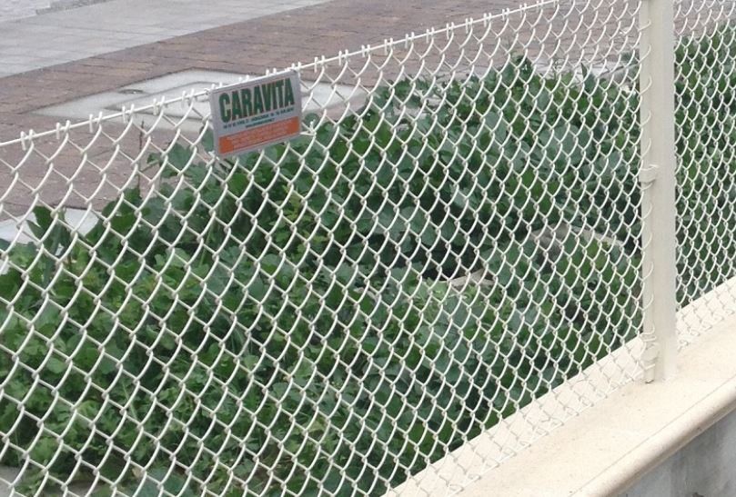 rete maglia 30×30 mm