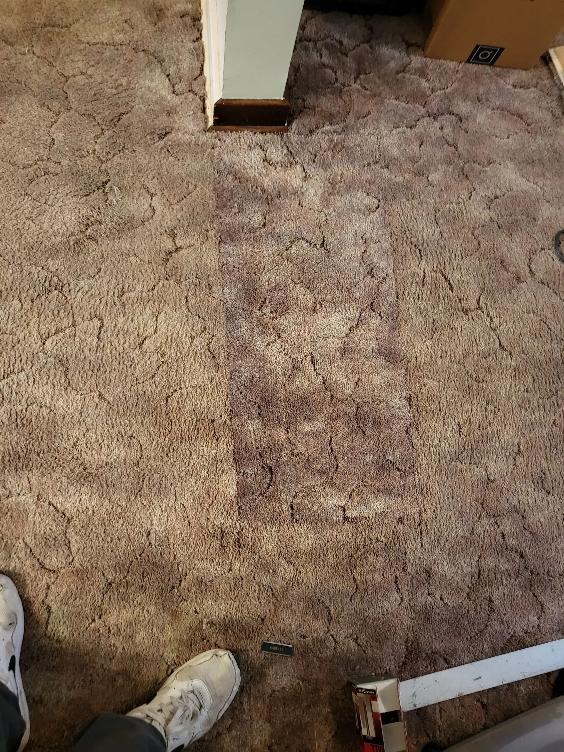 Brown carpet with a dark stain in the center, and a person's feet with white shoes are visible.