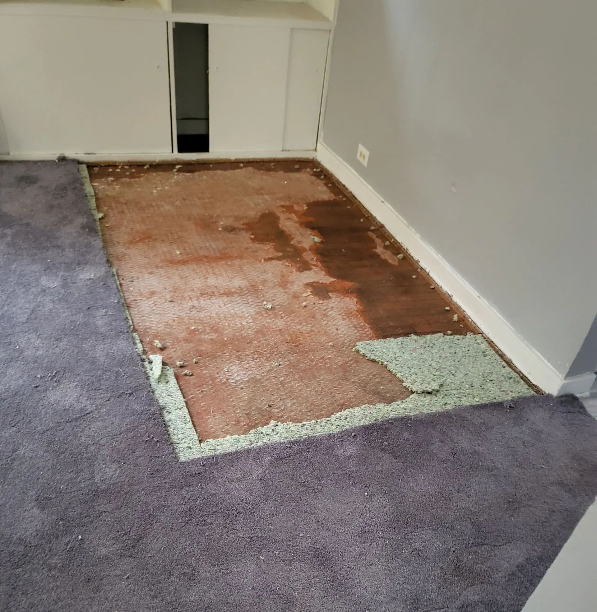 Carpeted room with missing section exposing subfloor; purple carpet, white walls, built-in cabinets.