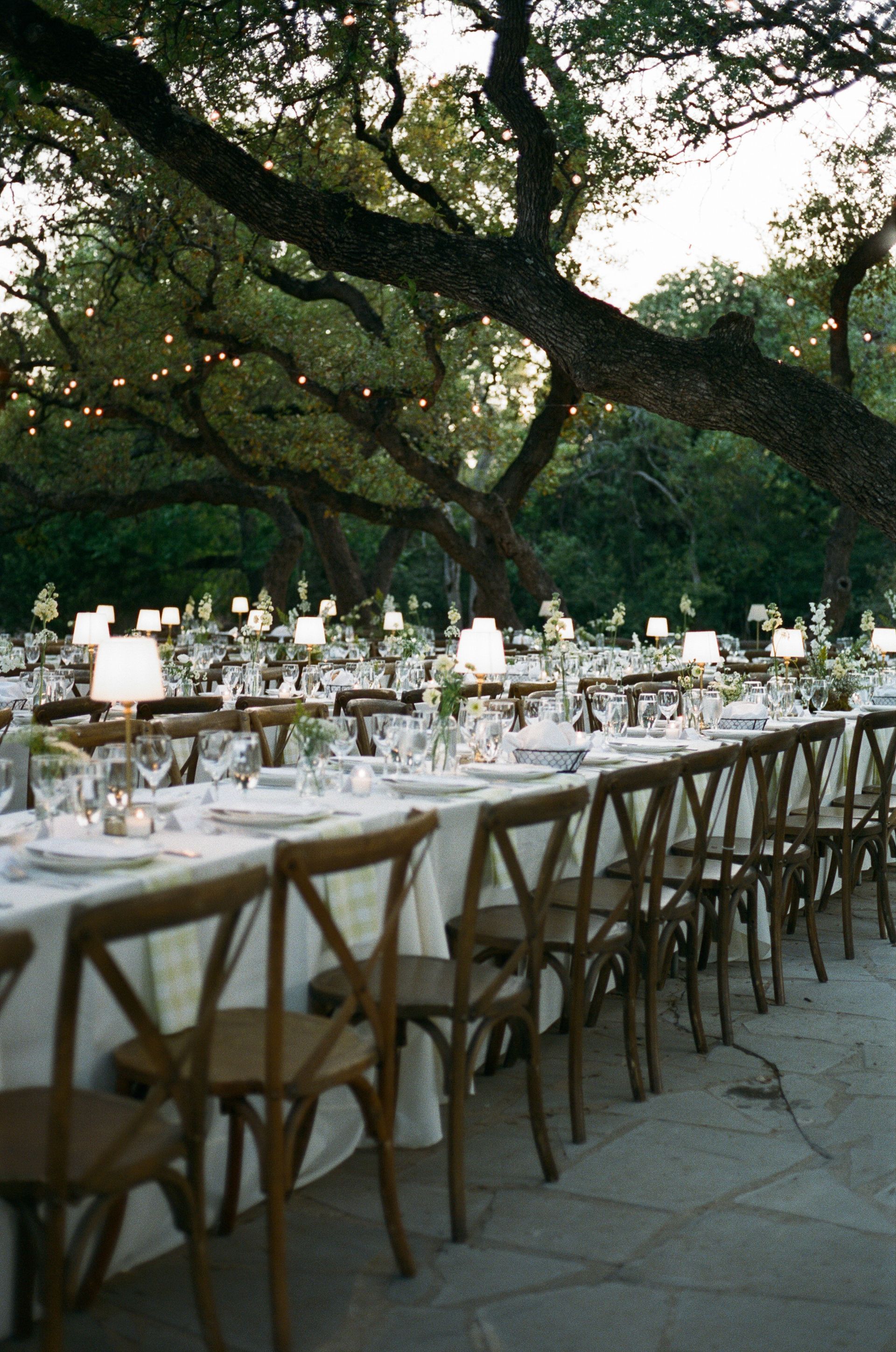 Long dining tables with white tablecloths and wooden chairs set up outdoors under large, sprawling oak trees with lights.