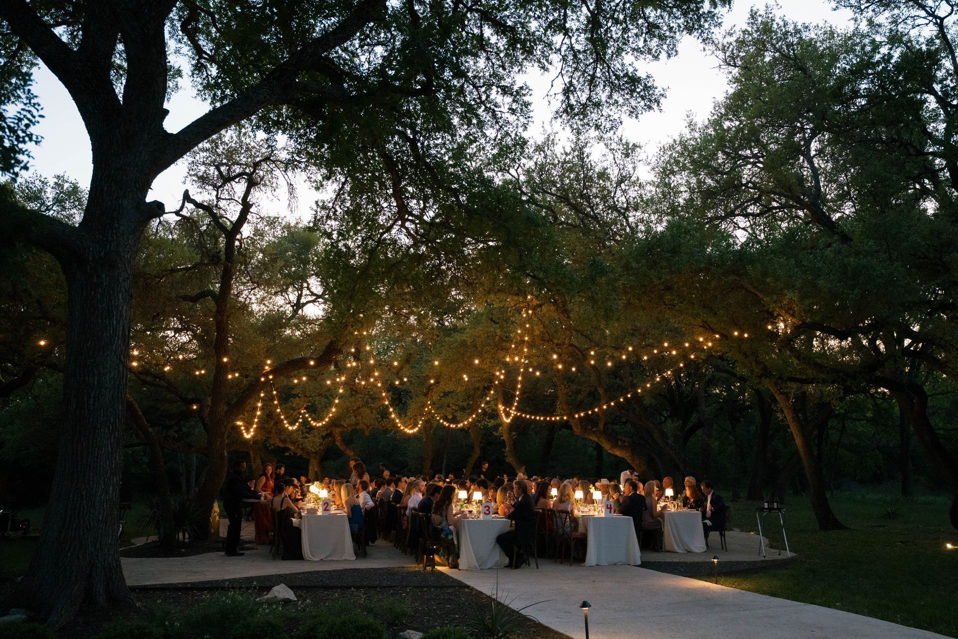 An outdoor dinner party at dusk, with tables arranged under trees illuminated by string lights.