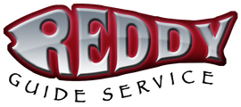 Reddy Guide Service