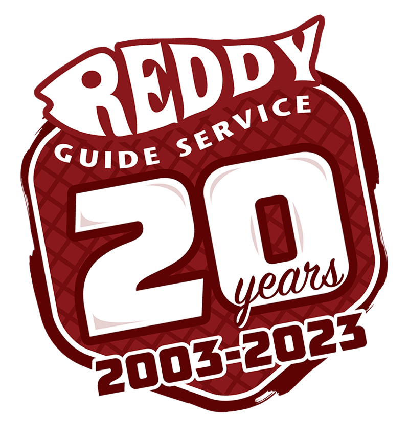 Reddy Guide Service 20 Years
