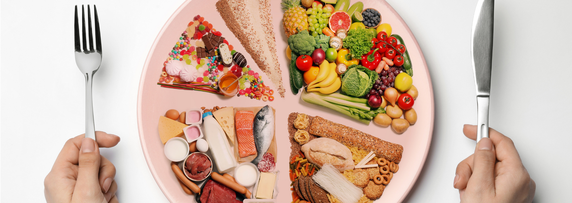 Picture of a plate with balanced food groups.