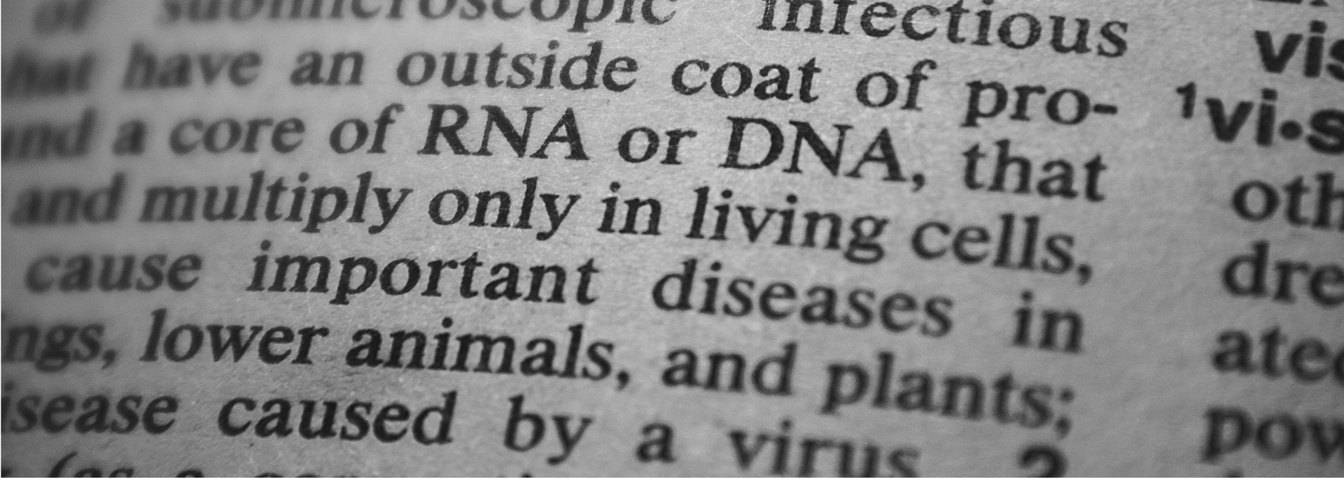 Picture of disease as a word.
