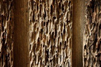 Old damaged wood - exterior wood repair in Virginia Beach, VA