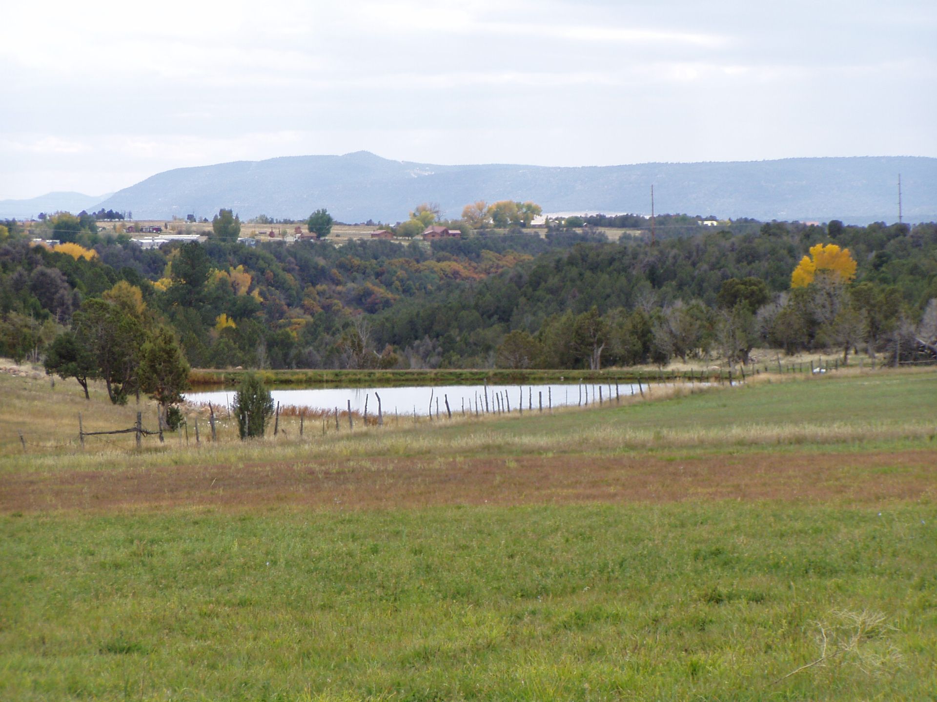 A large grassy field with a small pond in the middle