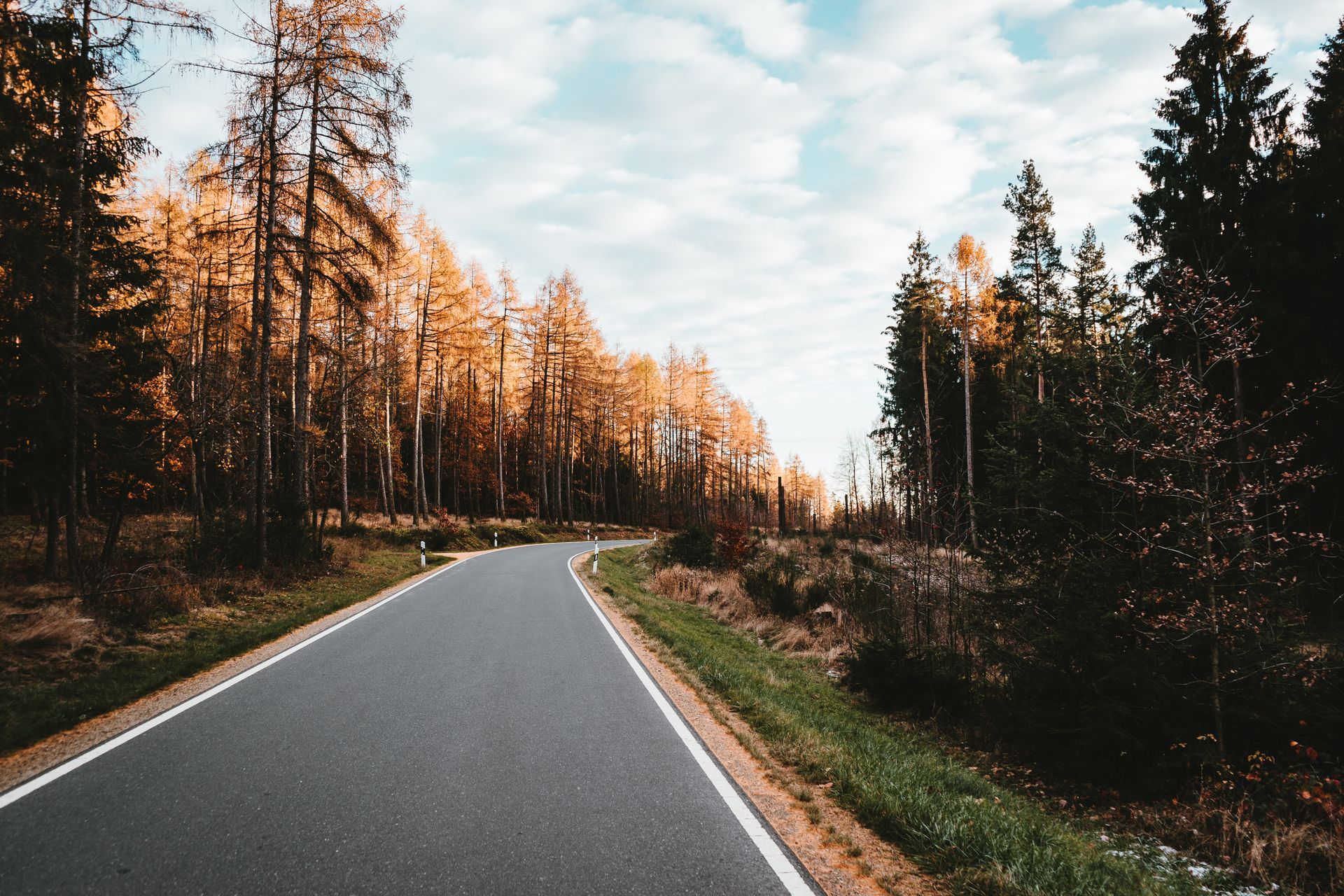 An asphalt roadway stretching into the distance, lined with white lane markings and bordered by green trees on either side.