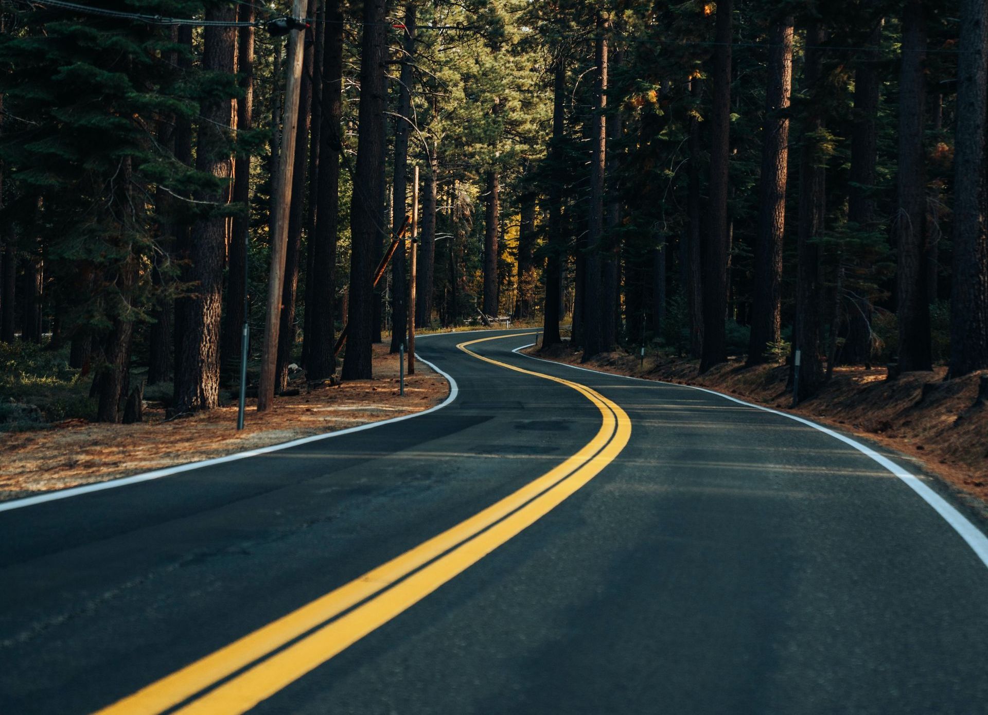 A curved asphalt roadway with double yellow lines running down the middle, surrounded by green grass and trees on either side.