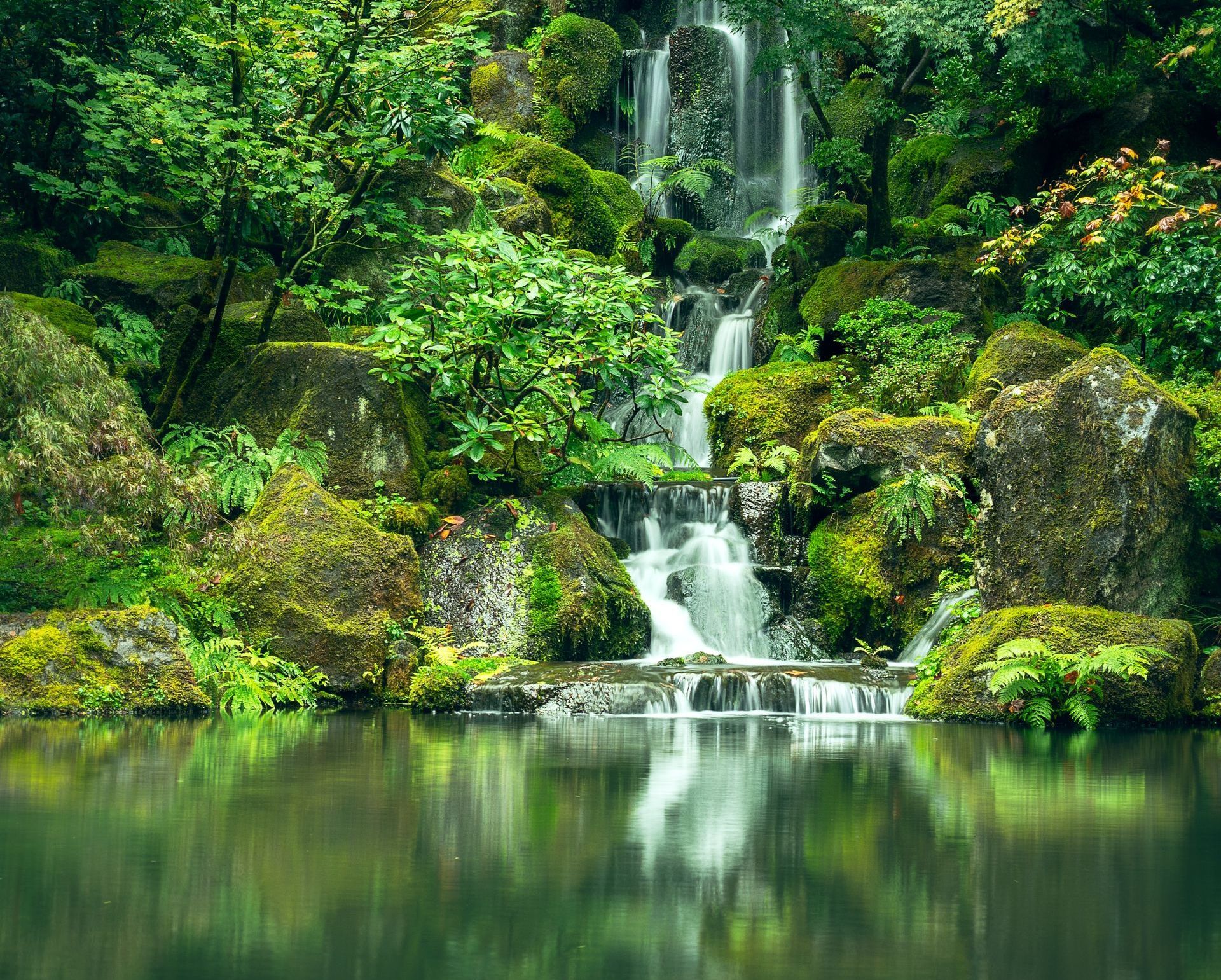 Paisagem com muito verde, plantas, pedras e cachoeira