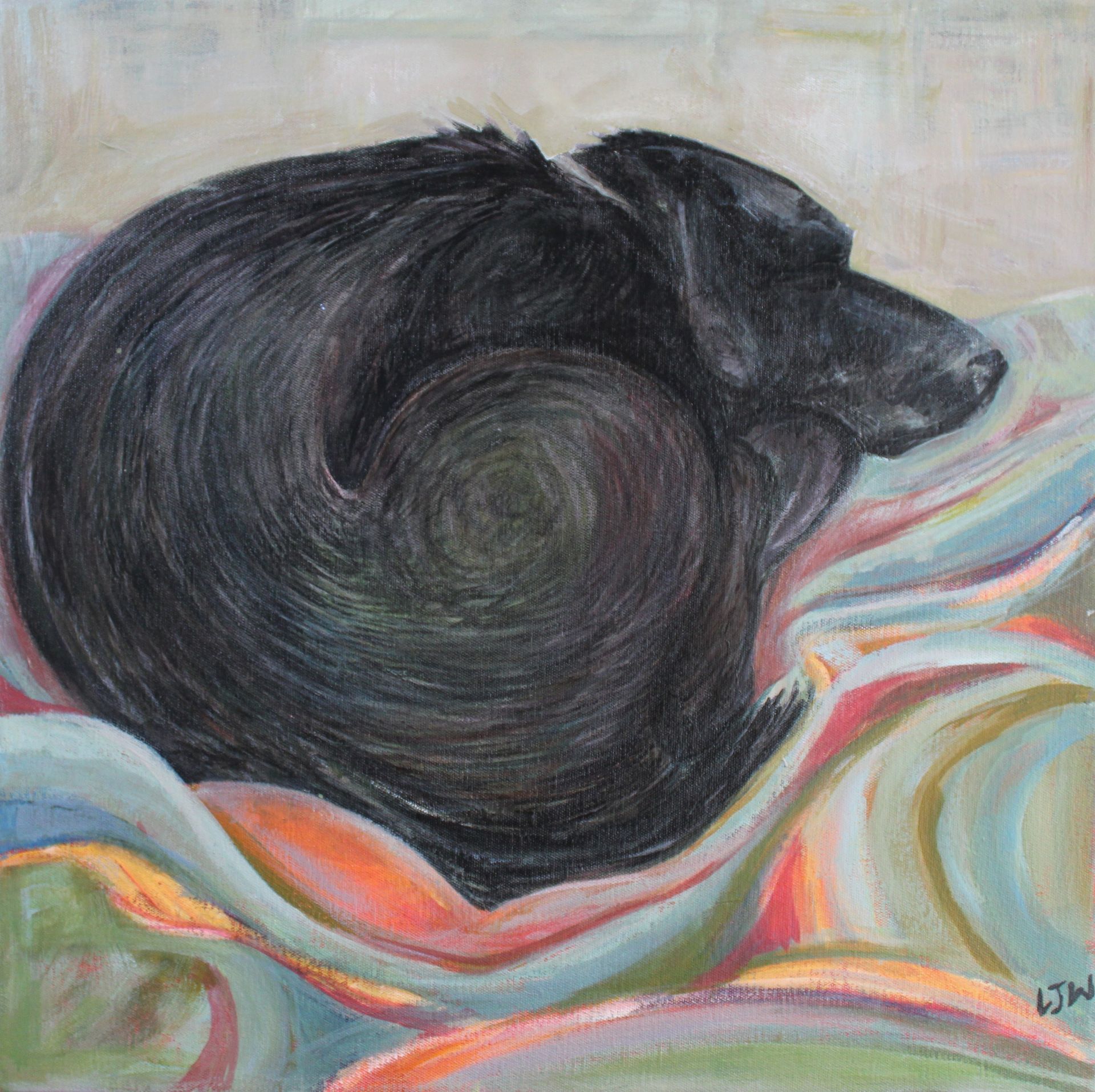 Black dog curled up, sleeping on colorful, wavy blankets.