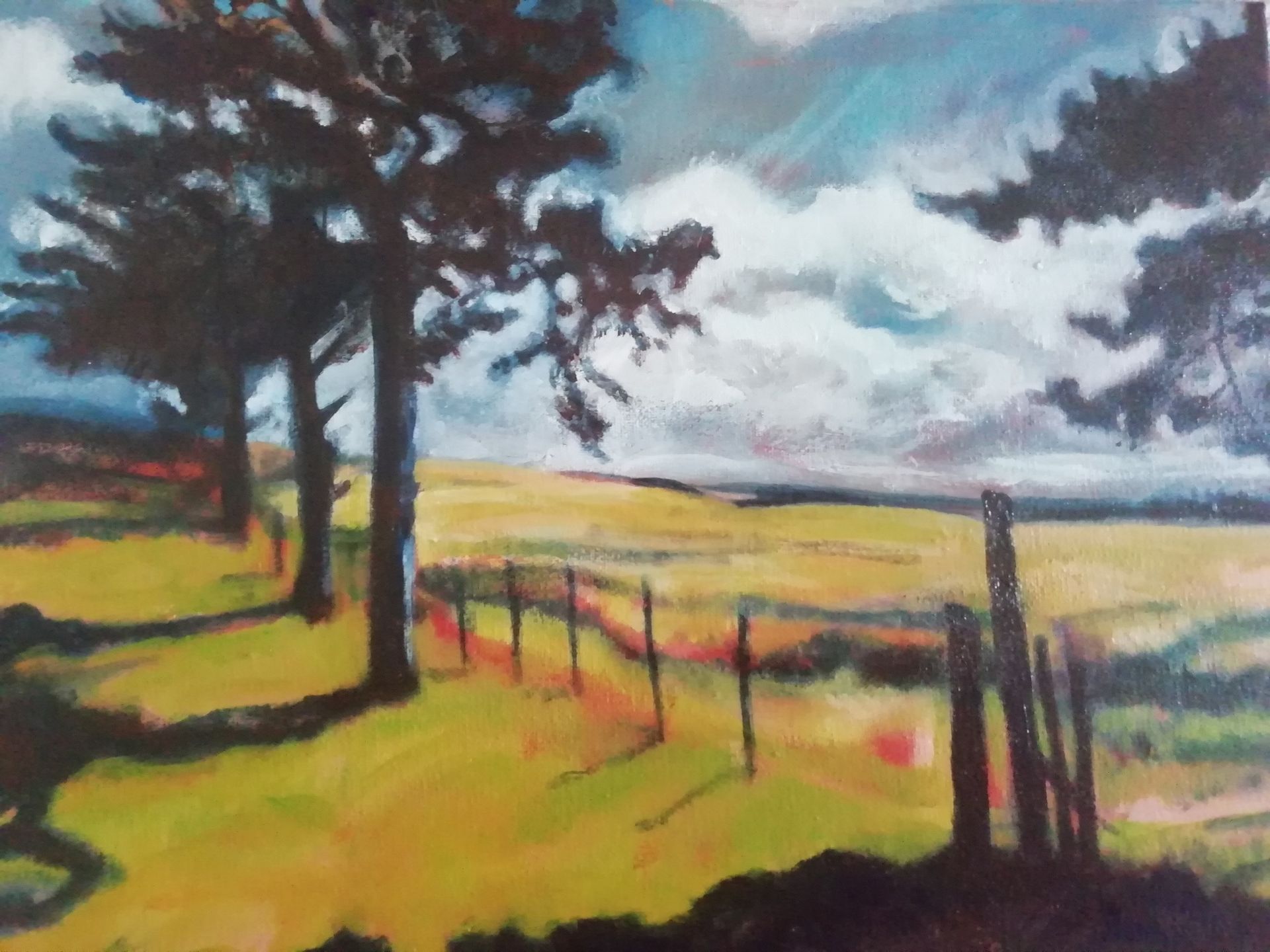 Trees line a field, shadows cast by the sun. A fence runs along the grass beneath a cloudy sky.
