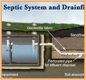 Waste Separation and Drainage
