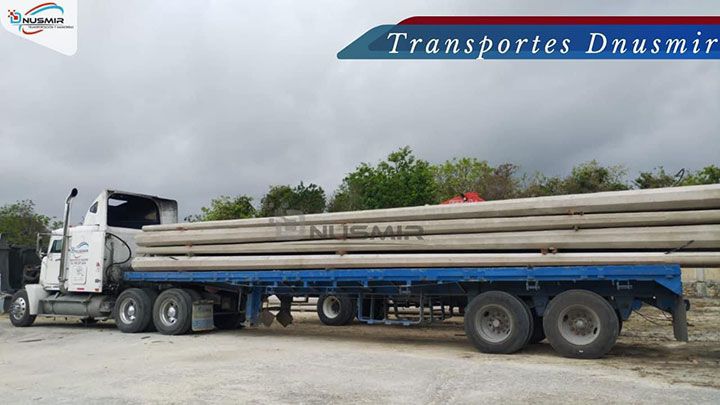 TRANSPORTES DNUSMIR