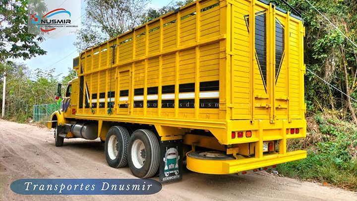 TRANSPORTES DNUSMIR