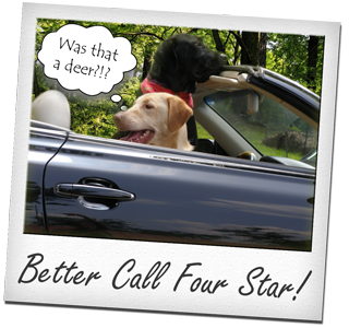 A picture of two dogs in a car that says better call four star