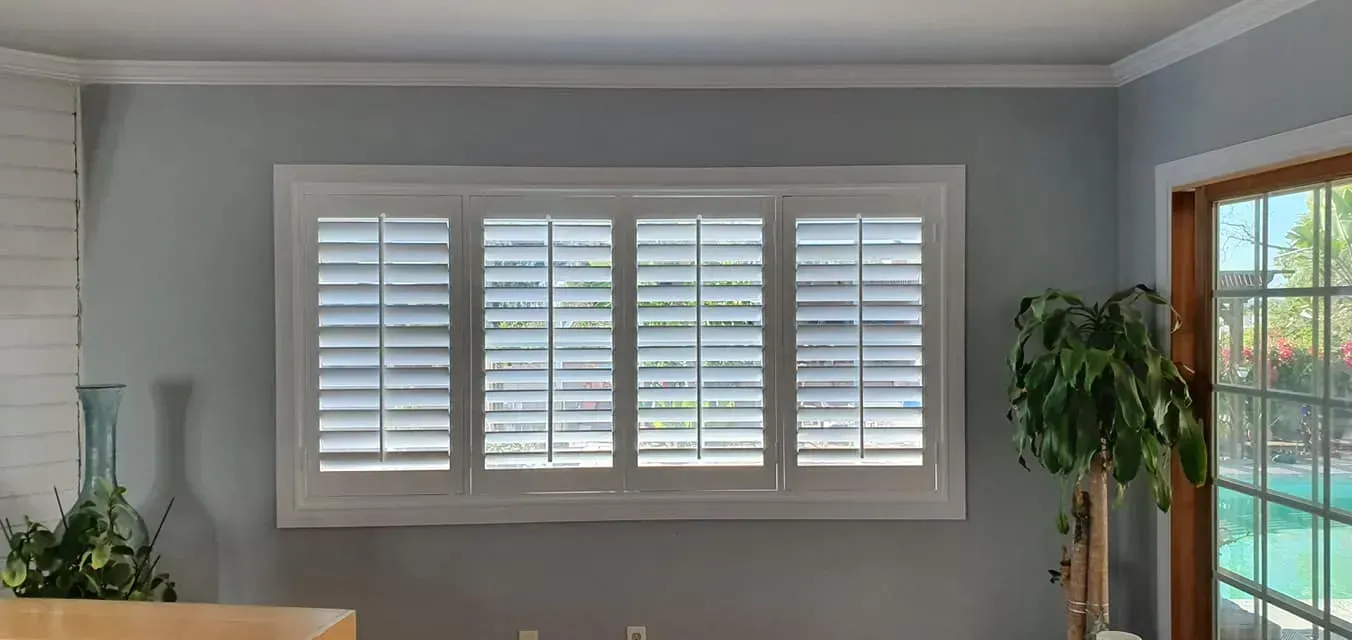 Interior with window shutters, a plant, and a glass door with a view of the outdoors. Light blue walls.