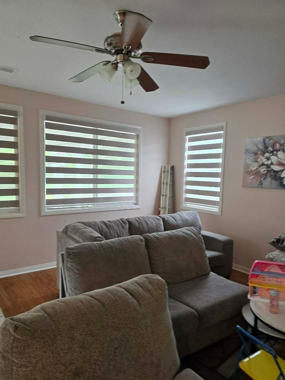 Living room with gray sofa, windows with zebra blinds, ceiling fan. Pink walls.