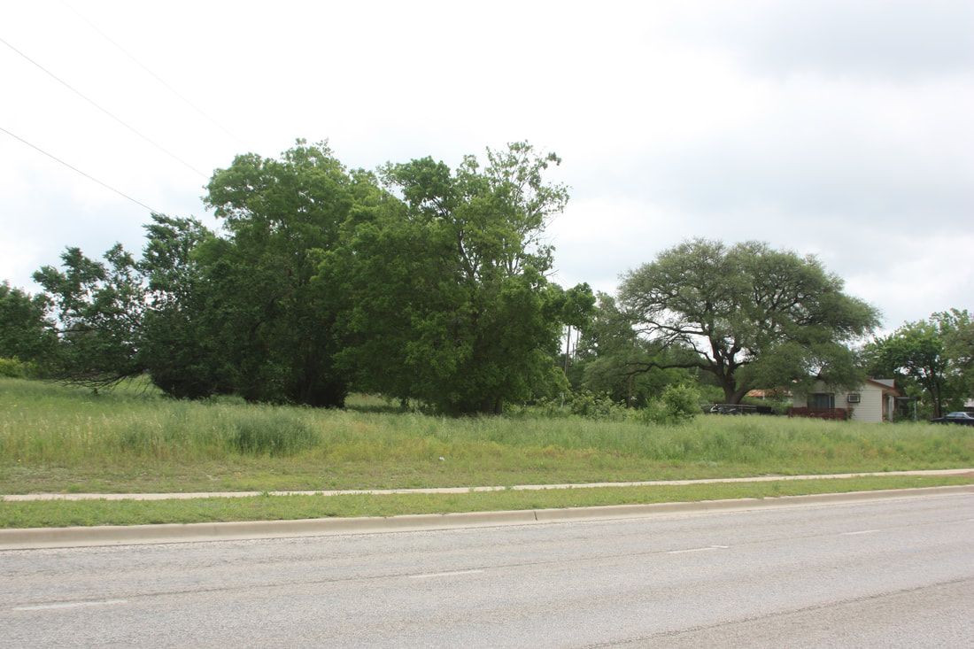 A grassy field with trees on the side of the road