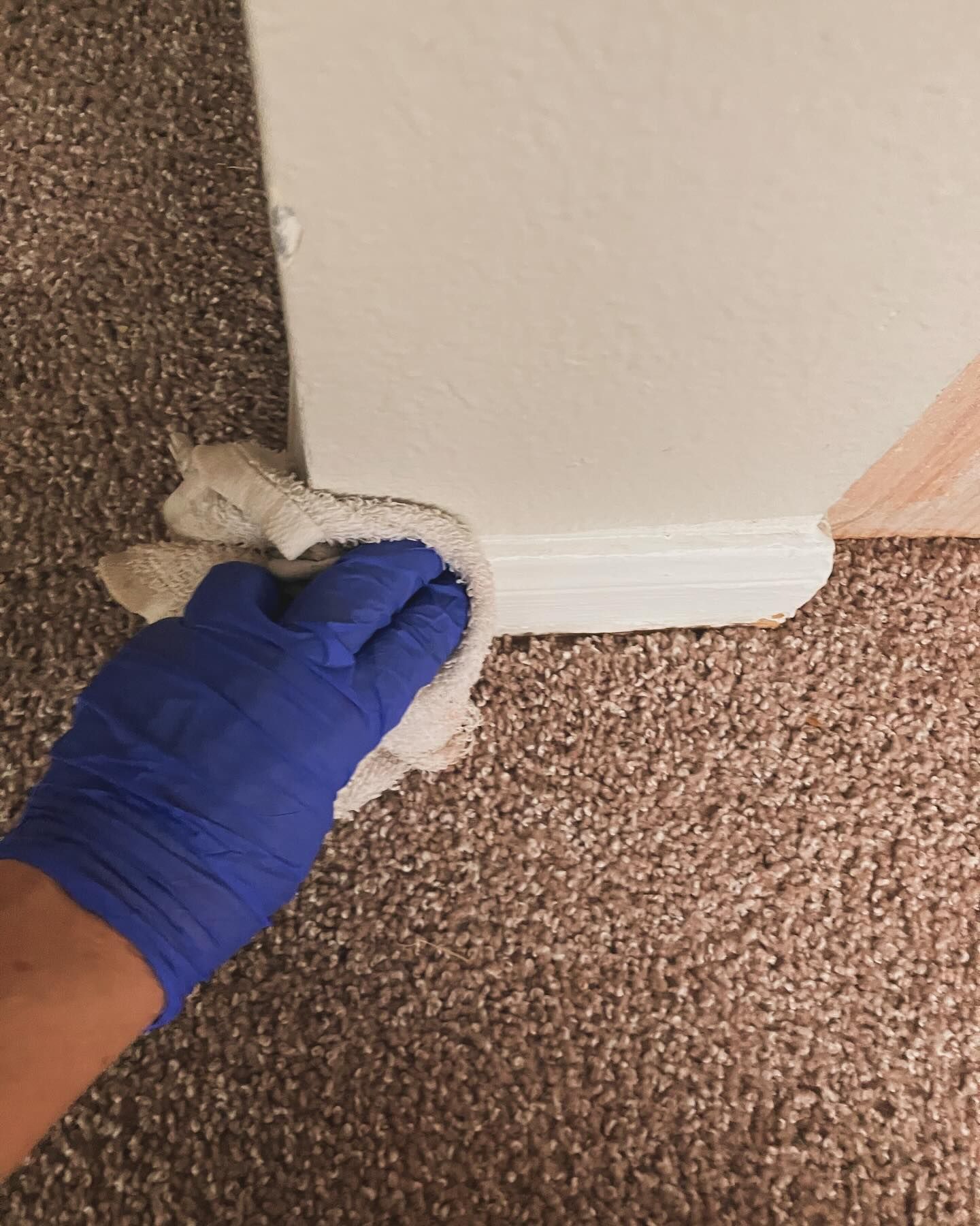 A person wearing blue gloves is cleaning the floor with a towel.