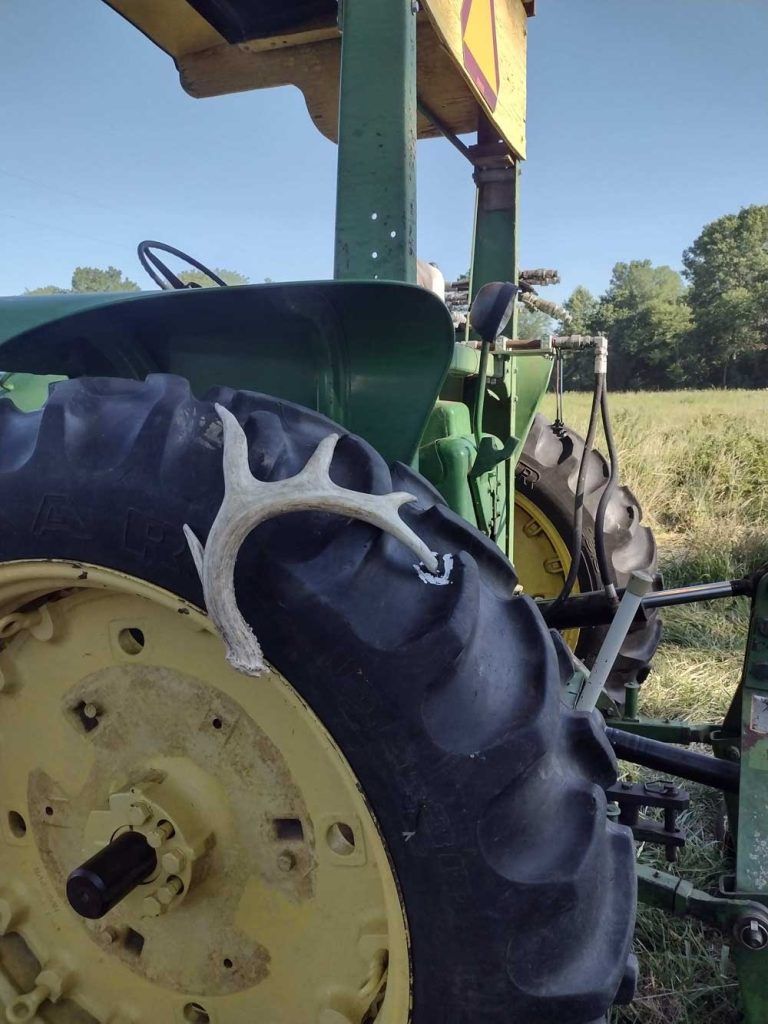 Deer antler attached to the tire of a green and yellow John Deere tractor.