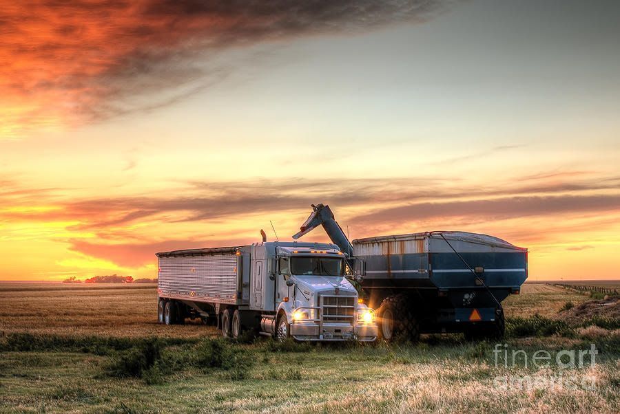 A combine empties grain into a semi-truck trailer in a field at sunset; orange sky.