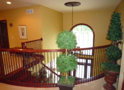 Plant Near The Hand Railing — Hermitage, PA — Buxton Construction Corp