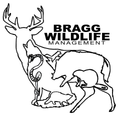 Black and white logo: deer silhouette containing outlines of animals, "Bragg Wildlife Management" text.
