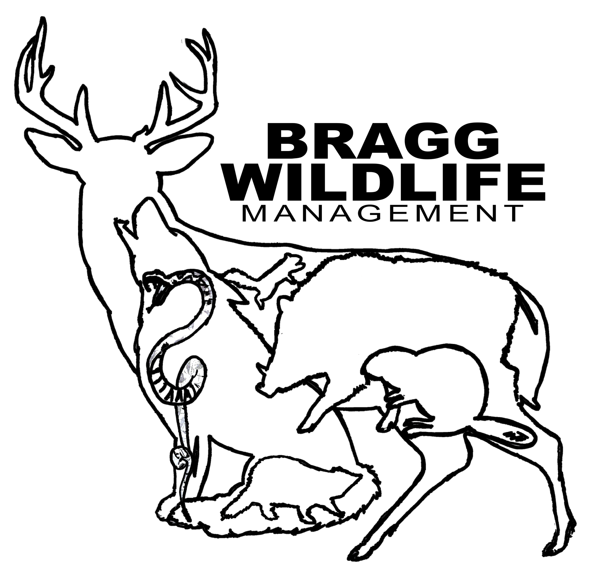 Black and white logo: deer silhouette containing outlines of animals, "Bragg Wildlife Management" text.