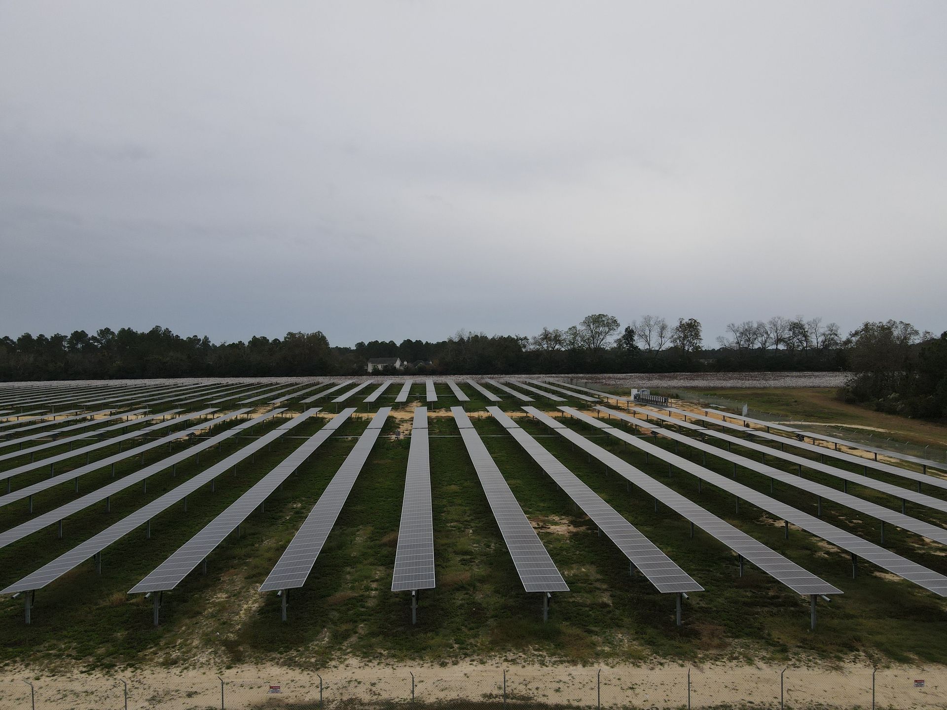 Rows of solar panels in a field with trees in the background