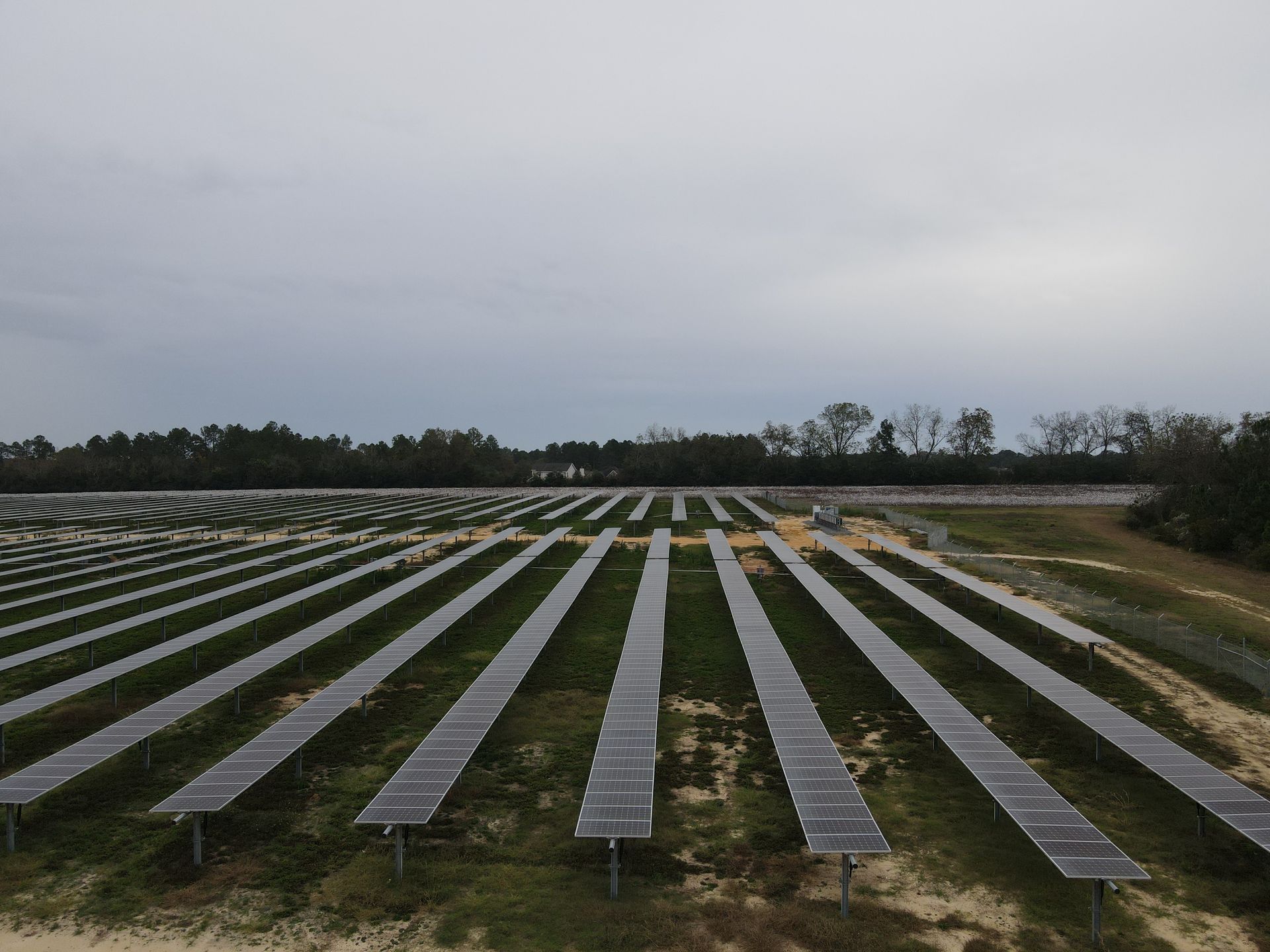 A row of solar panels in a field with trees in the background