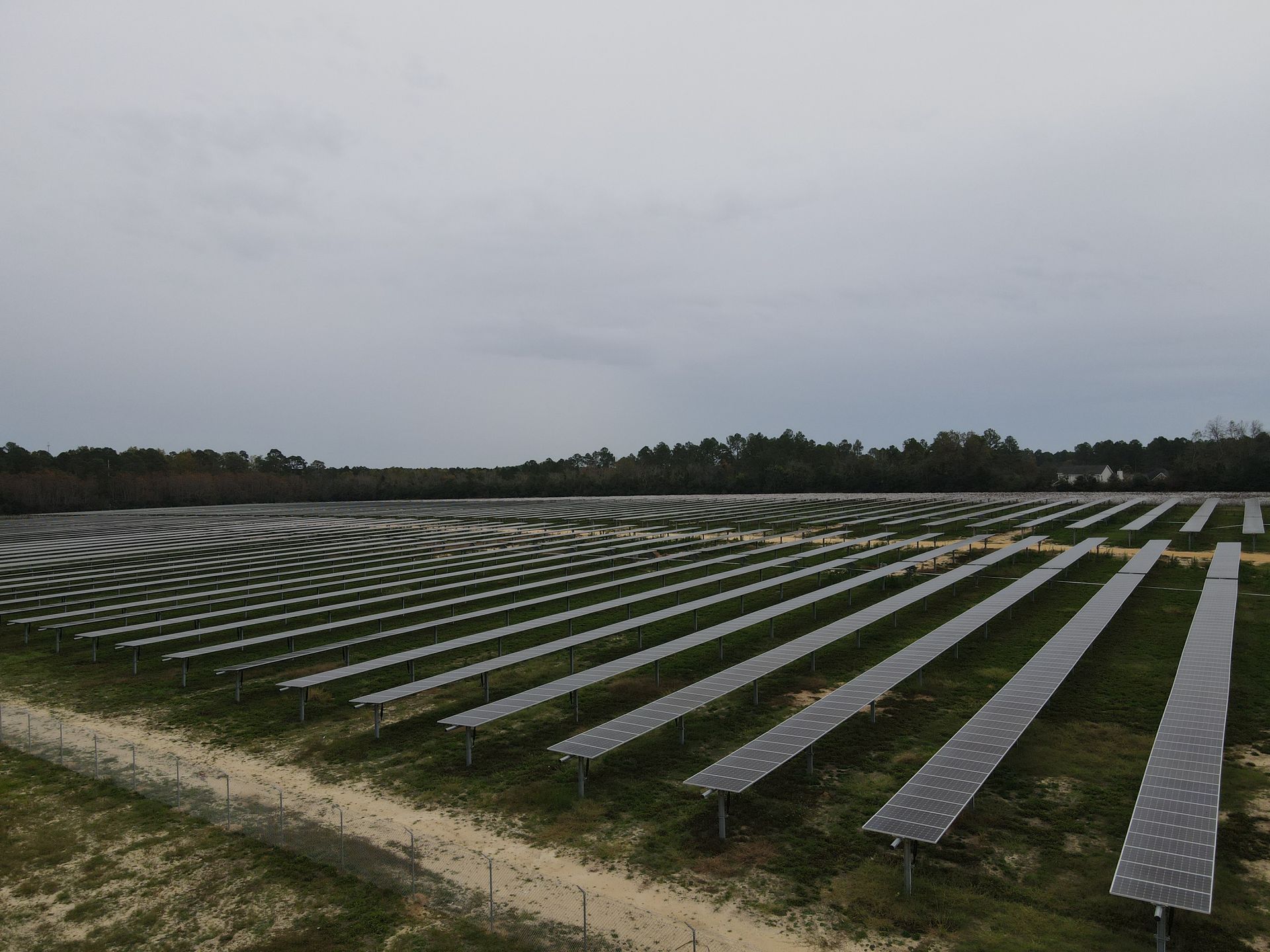 A large field of solar panels with trees in the background