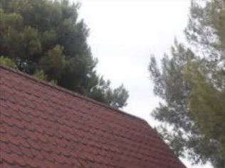 A close up of a red roof with trees in the background.