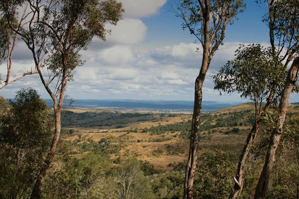 A View Of A Valley Through Trees On A Cloudy Day — Evolution Solar Kingaroy in Murgon, QLD