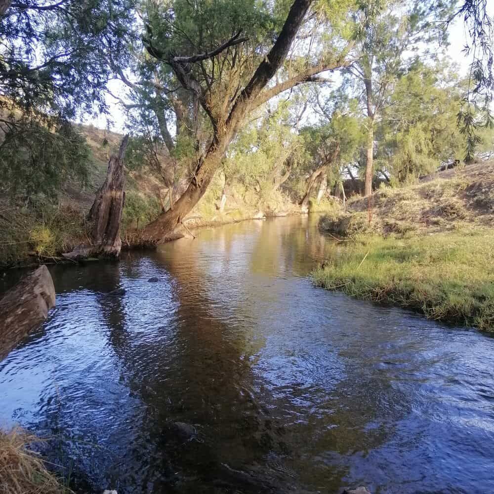 A River Flowing Through A Lush Green Forest With Trees On Both Sides — Evolution Solar Kingaroy in Nanango, QLD
