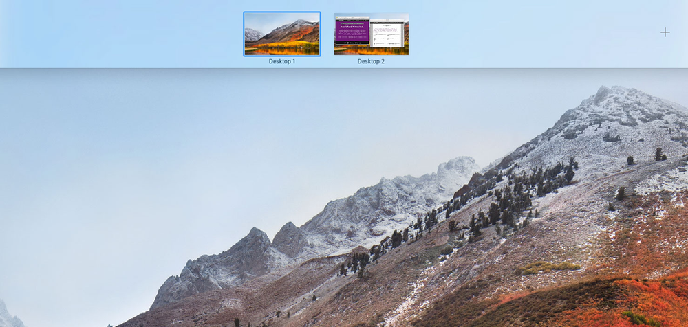 A computer screen shows a mountain covered in snow and trees.