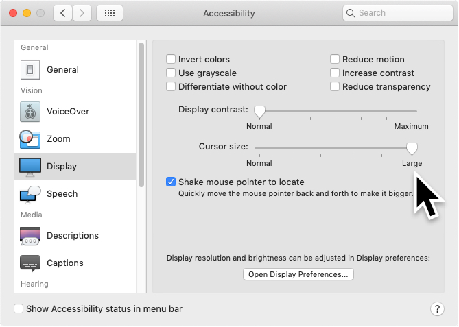 A screenshot of a computer screen showing the accessibility settings