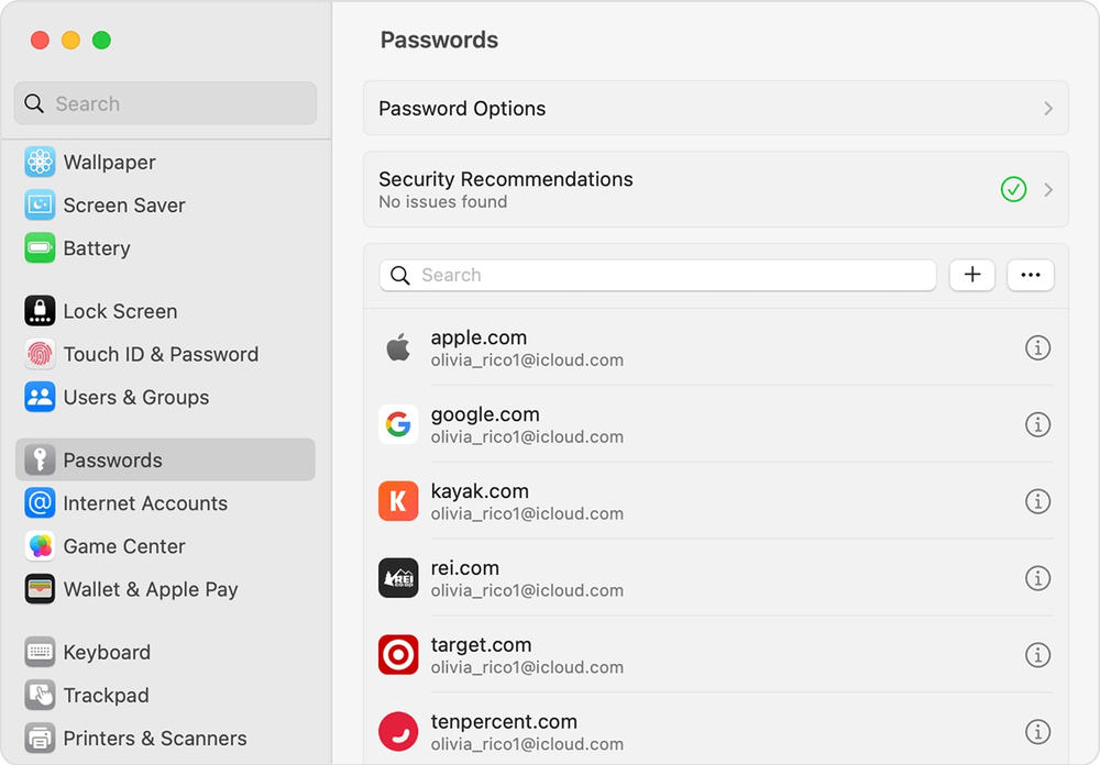 A screenshot of the passwords window on a mac computer.