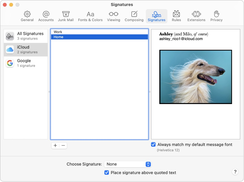A screenshot of a signatures window with a picture of a dog.